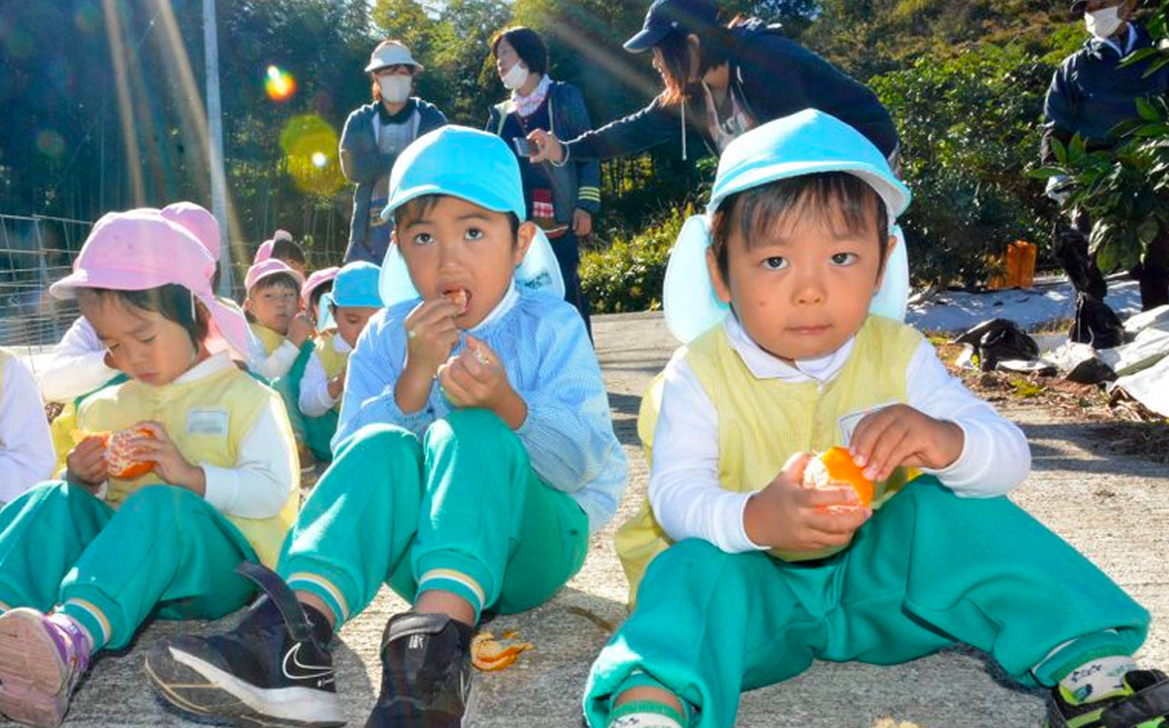 自分たちで収穫したミカンをおいしそうに食べる園児ら