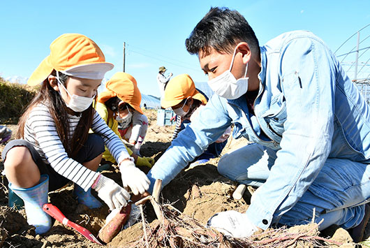 4Hクラブ員の指導の下サツマイモの収穫を楽しむ園児たち