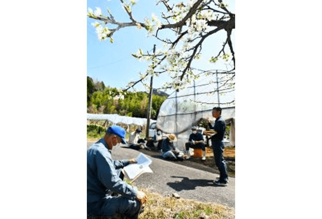 受粉や開花期の栽培管理について学ぶ参加者