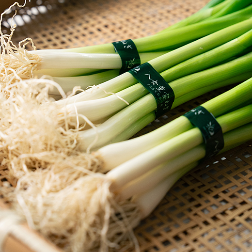 特産マップ詳細 | JAふくおか八女