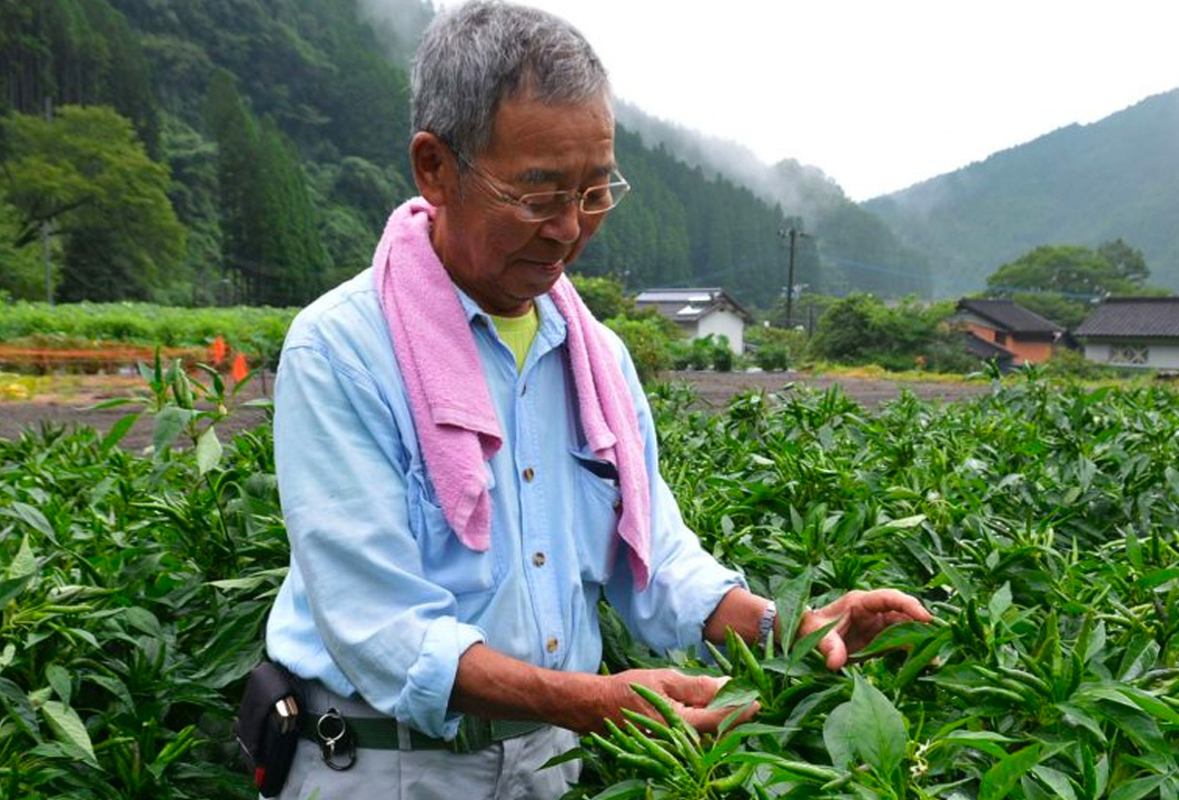 生育状況を確認する石川さん