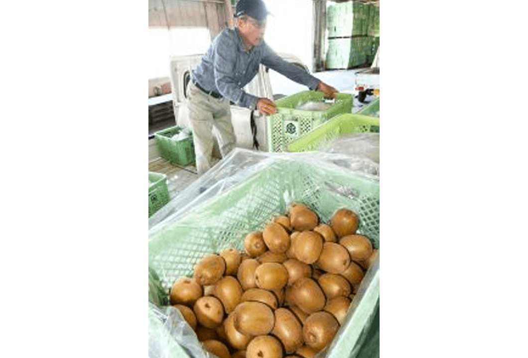 生産者によって持ち込まれる「甘うぃ」