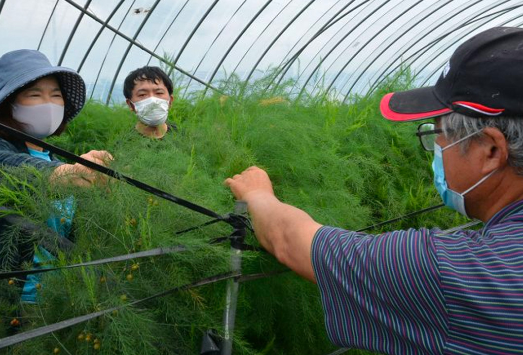 生産者の田中さん（写真㊧）に栽培方法を学ぶ参加者
