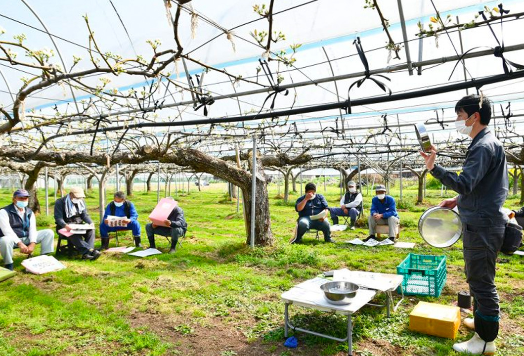 授粉など春期の管理法について学ぶ参加者