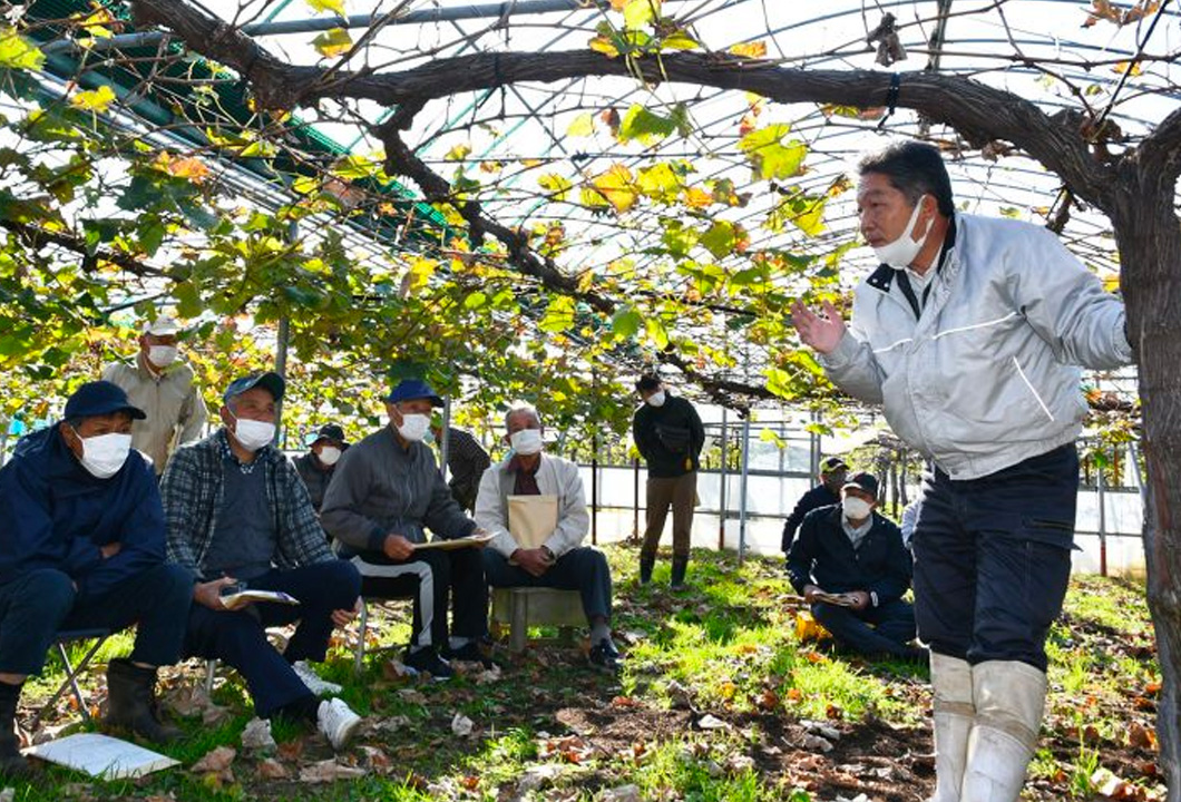 剪定など冬季の管理法について学ぶ参加者