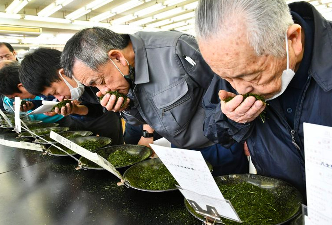 荒茶の香気など品質を確認する茶商ら