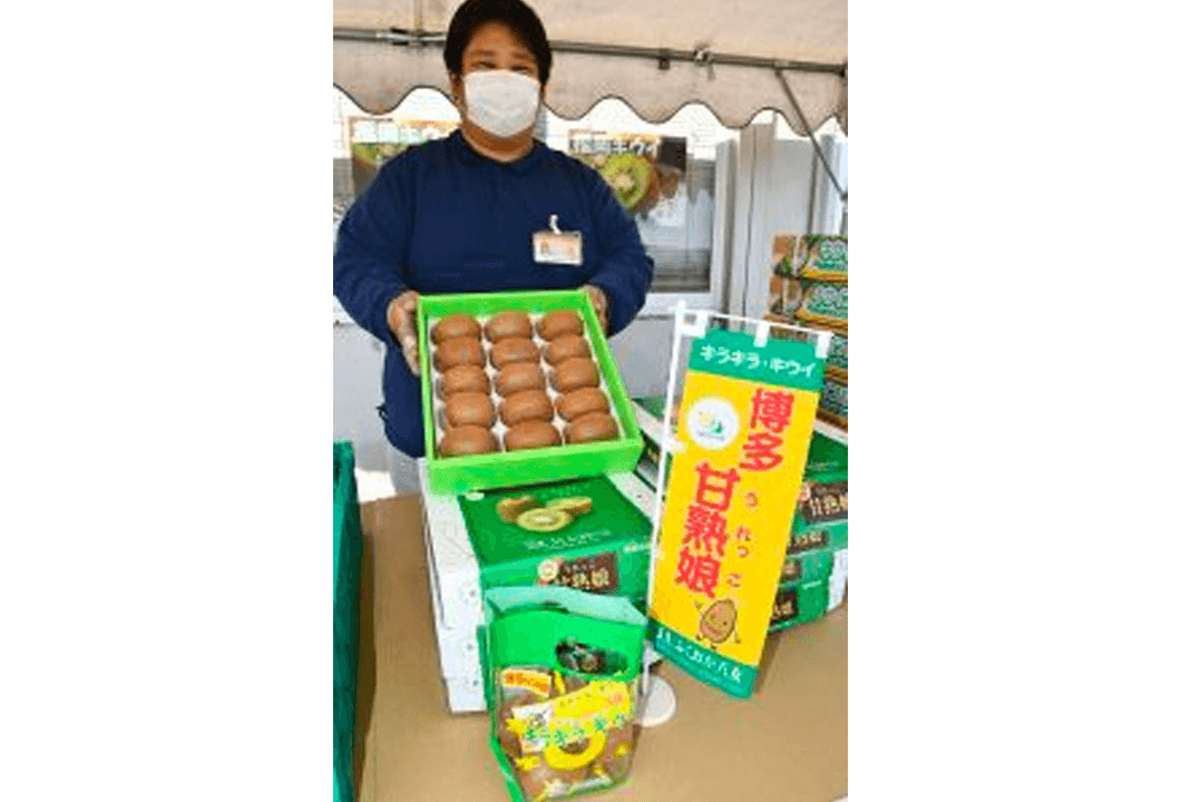 直売所で販売される食べごろのキウイフルーツ「博多甘熟娘(はかたうれっこ)」