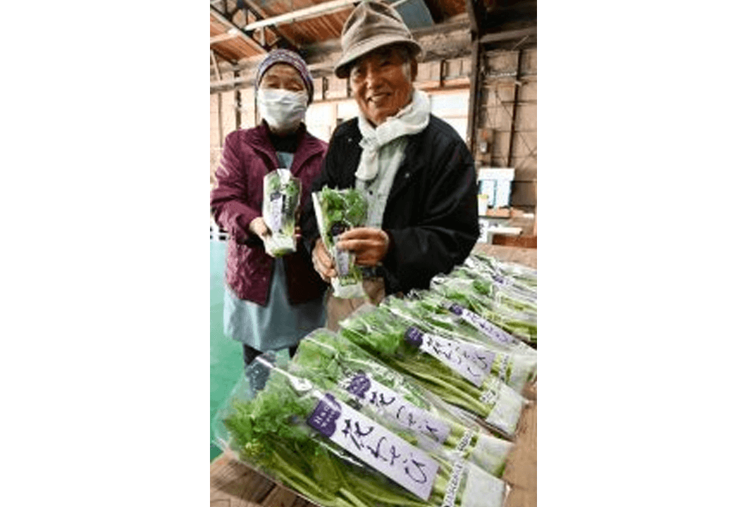 出荷前の花ワサビを手にする仁田原さん夫妻