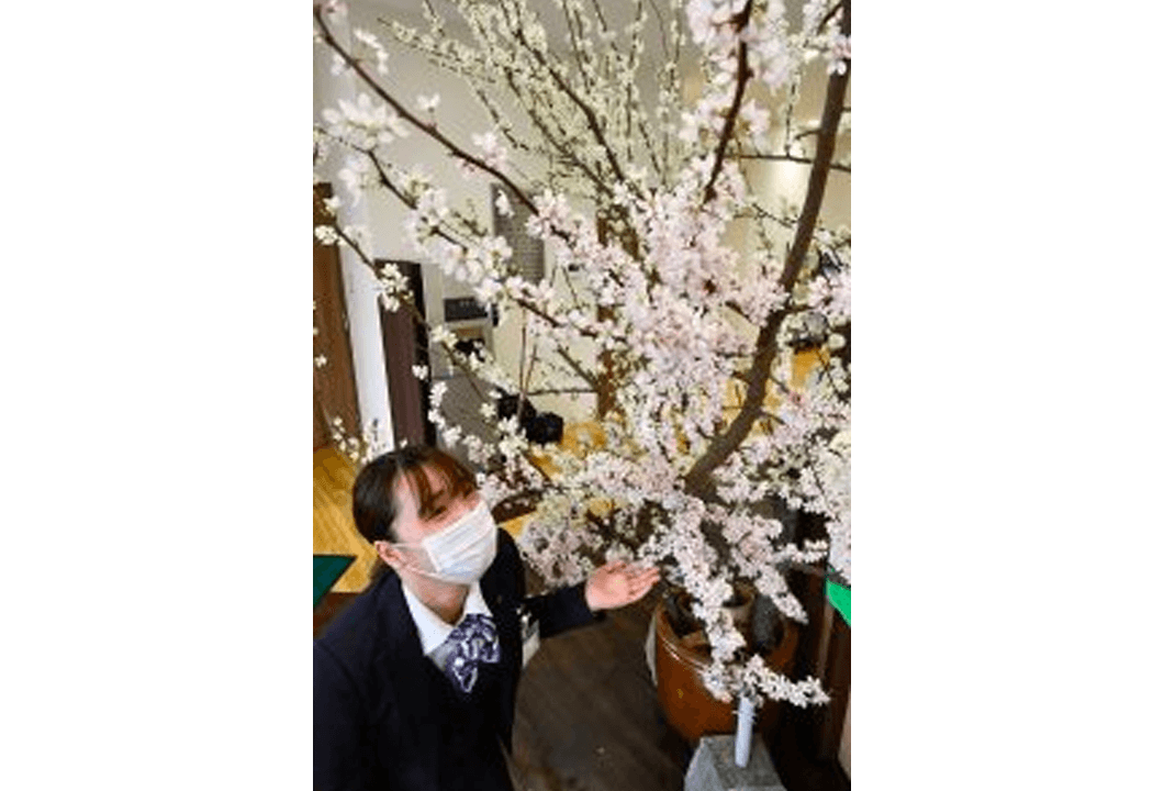 支店の窓口に飾られた美しいモモの花