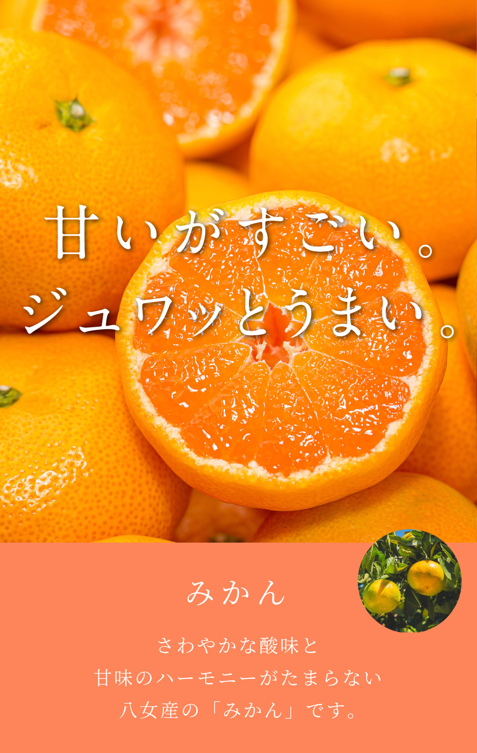 甘いがすごい。ジュワッとうまい。